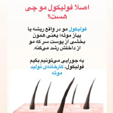 سرم اسکالپی سیپوری تقویت کننده و ضد ریزش مو اورجينال كره