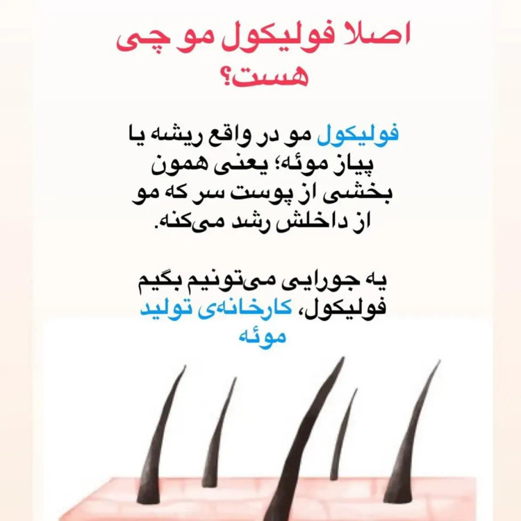 سرم اسکالپی سیپوری تقویت کننده و ضد ریزش مو اورجينال كره